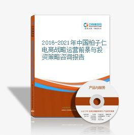 2016-2020年中國柏子仁電商戰略運營前景與投資策略咨詢